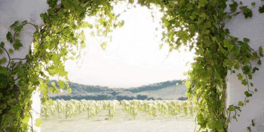 3S Cloud Render Farm_Deep Dive into ForestPack 9.3 for 3ds Max-01
